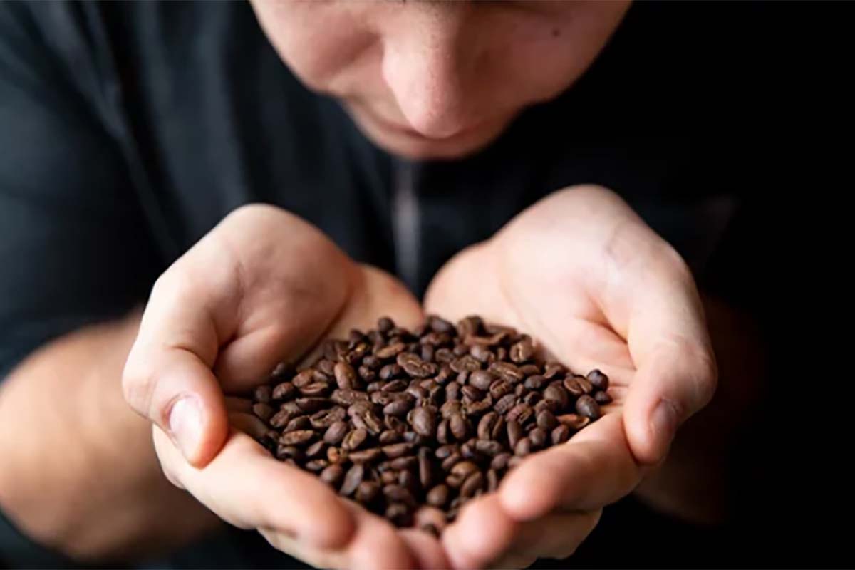 Aroma Recovery